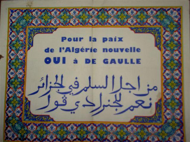 UN CERTAIN PLACARD.JPG